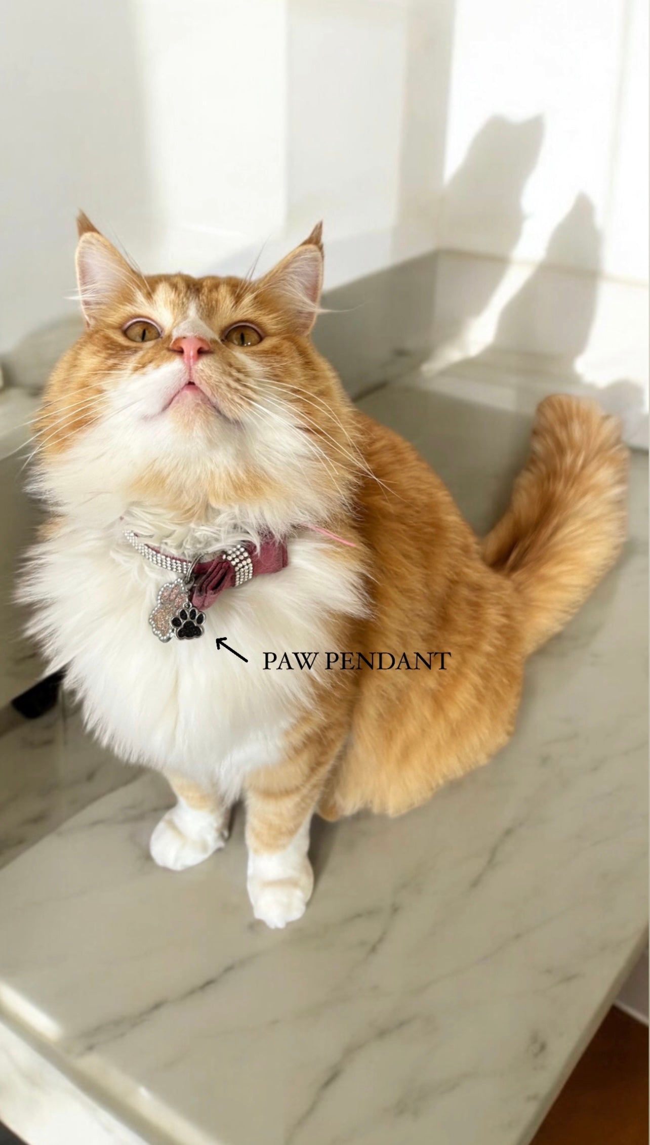 Paw Pendant | QR coded