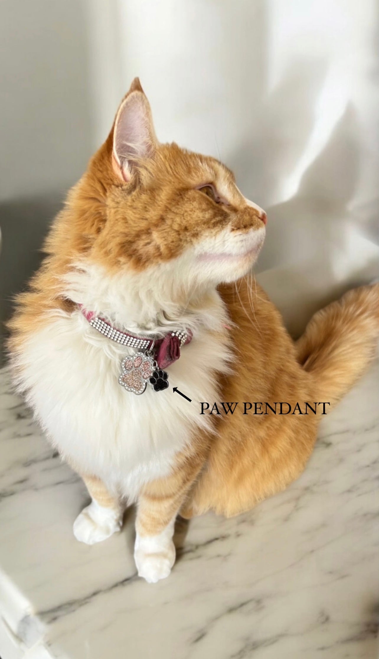 Paw Pendant | QR coded