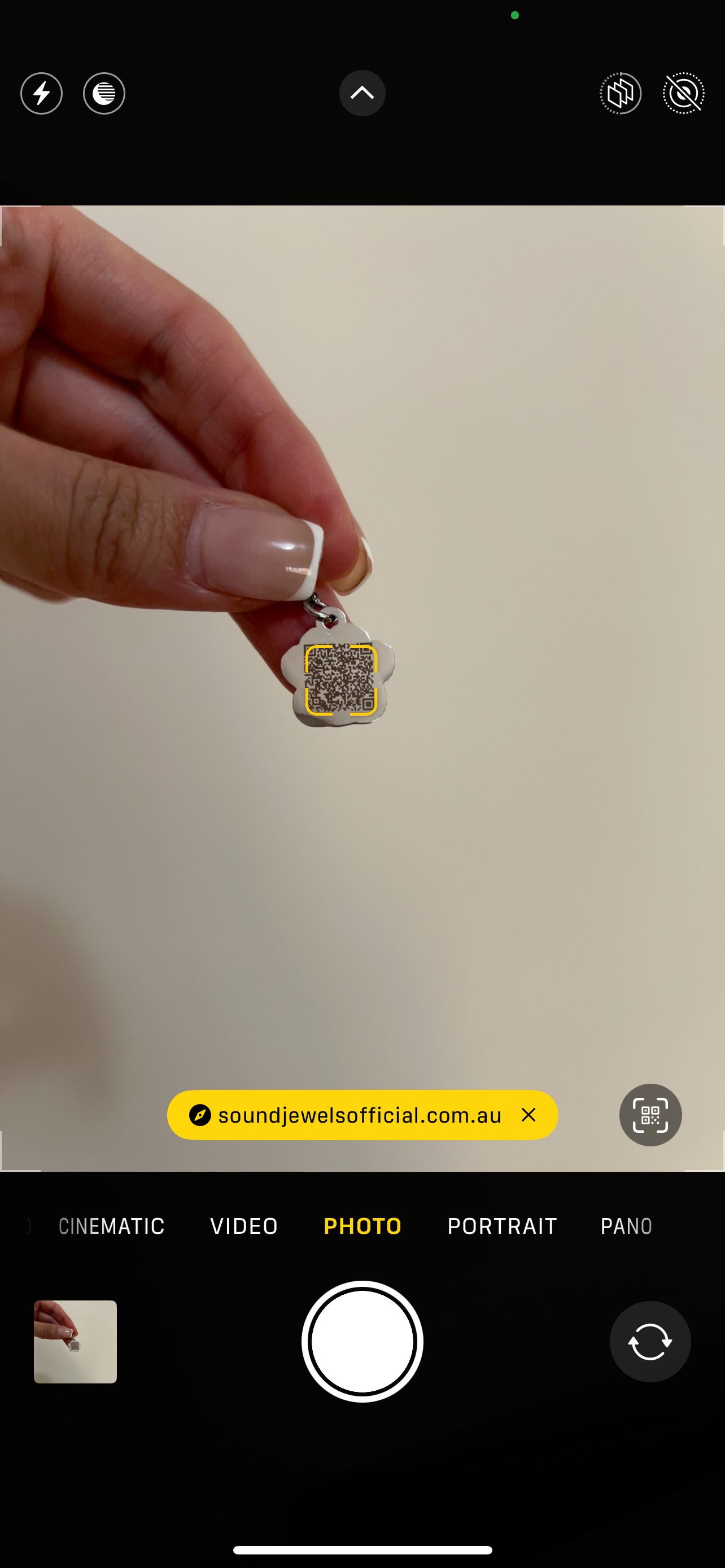 Paw Pendant | QR coded